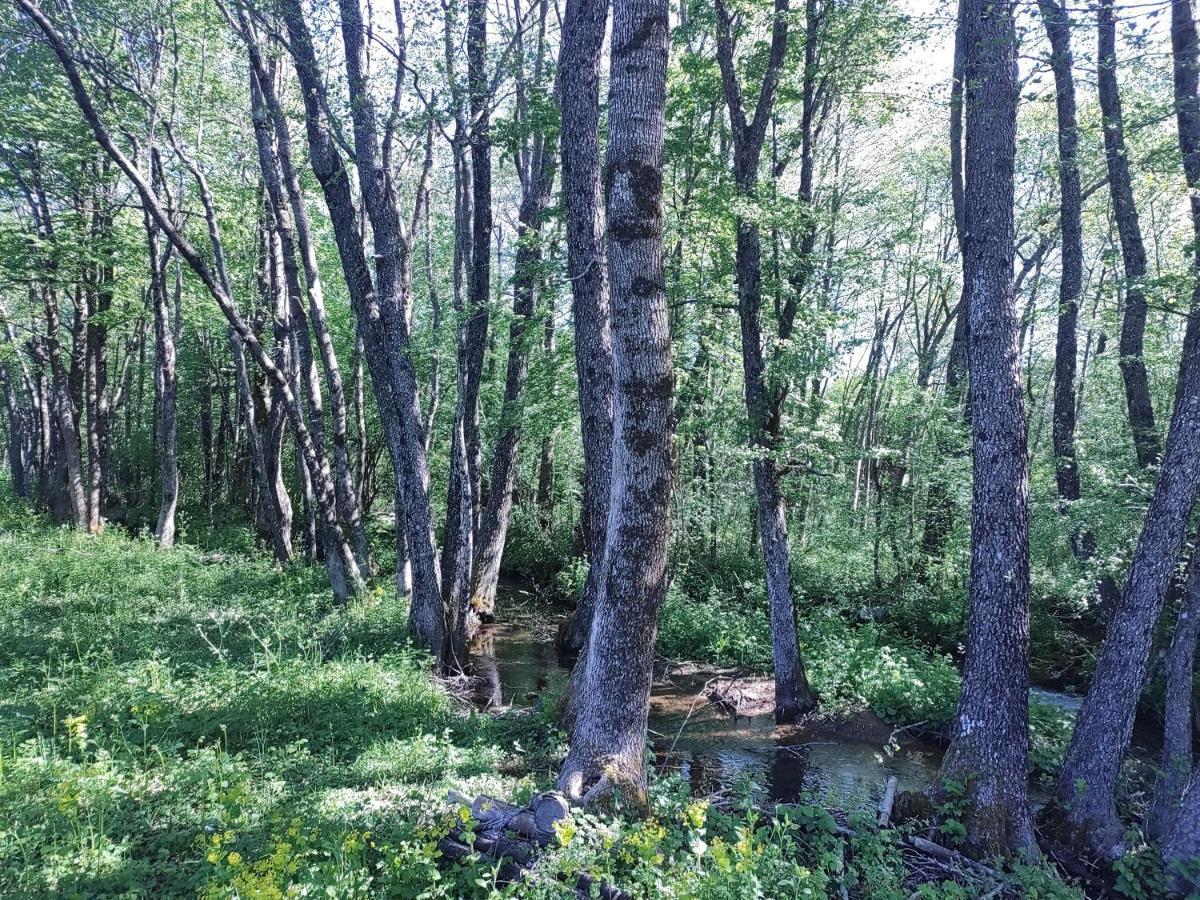 Velebit Lodge Lovinac  Bagian luar foto